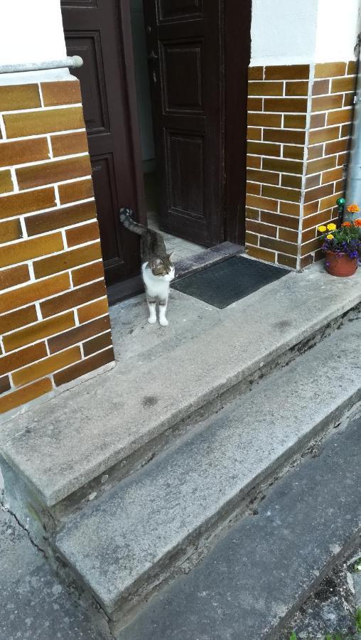 Ferienwohnung Pronajem Pokoju Belle Vue Vranov nad Dyjí Exterior foto