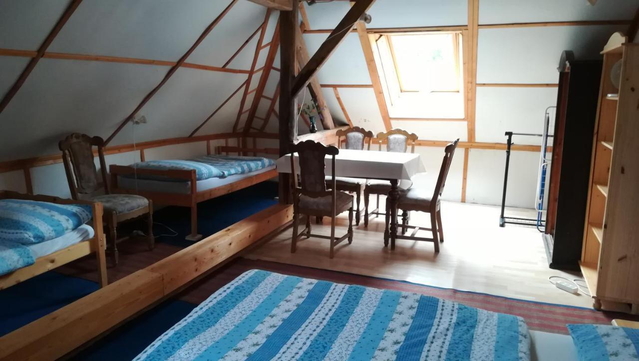 Ferienwohnung Pronajem Pokoju Belle Vue Vranov nad Dyjí Exterior foto