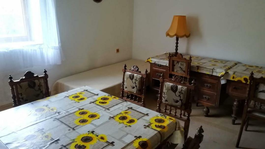 Ferienwohnung Pronajem Pokoju Belle Vue Vranov nad Dyjí Exterior foto