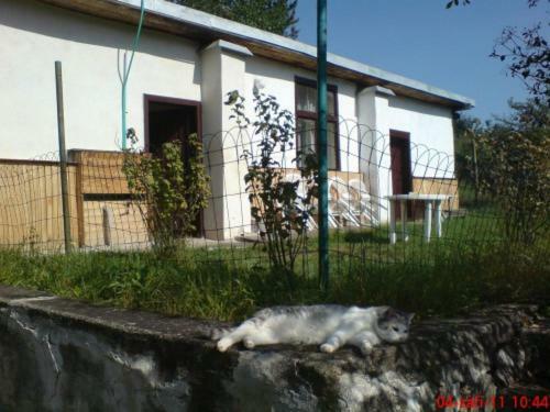 Ferienwohnung Pronajem Pokoju Belle Vue Vranov nad Dyjí Exterior foto